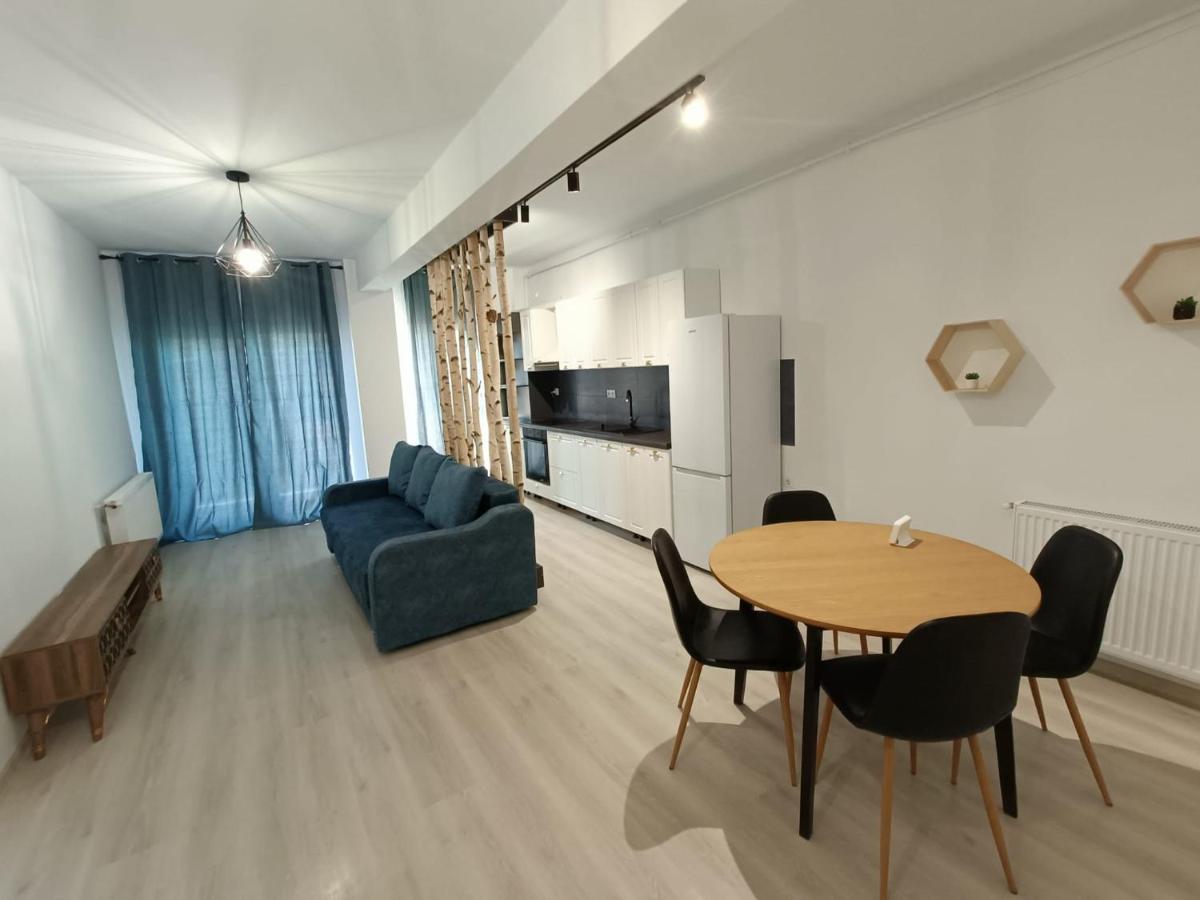 플로레스티 Apartament Cochet Cu Design Modern 아파트 외부 사진